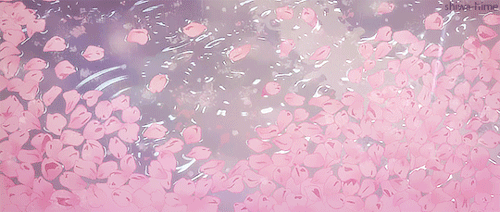 Decoration